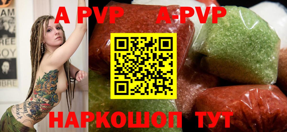 МЕФ Калининград
