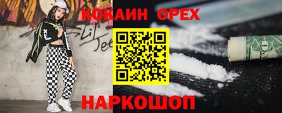 крисы Кулебаки