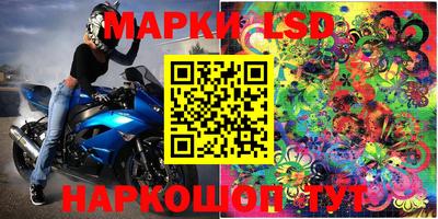 крисы Кулебаки