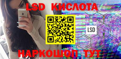 крисы Кулебаки