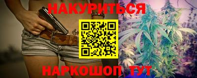крисы Кулебаки